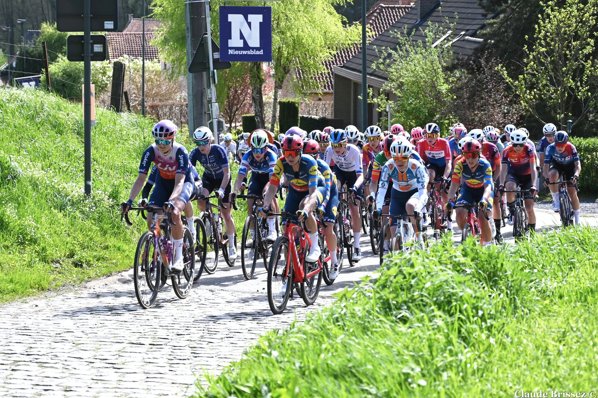 Liste des partantes Omloop van Borsele