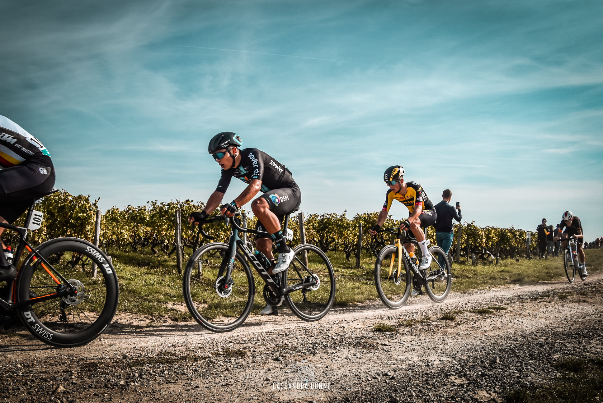 Peloton de Paris-Tours 2025 sur les chemins de vigne avant l’arrivée à Tours.