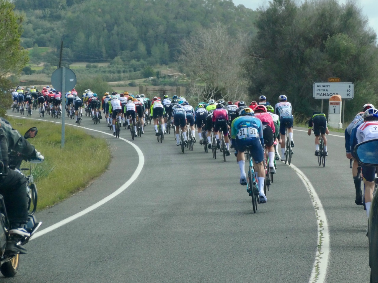 Peloton sur les routes de Majorque lors de la Challenge Mallorca.
