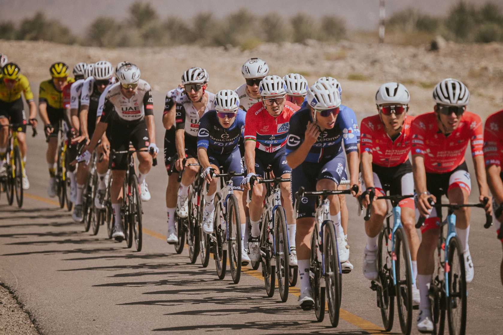 Peloton du Tour of Oman lors de l’édition 2025, avec plusieurs équipes WorldTour au départ de l’épreuve omanaise