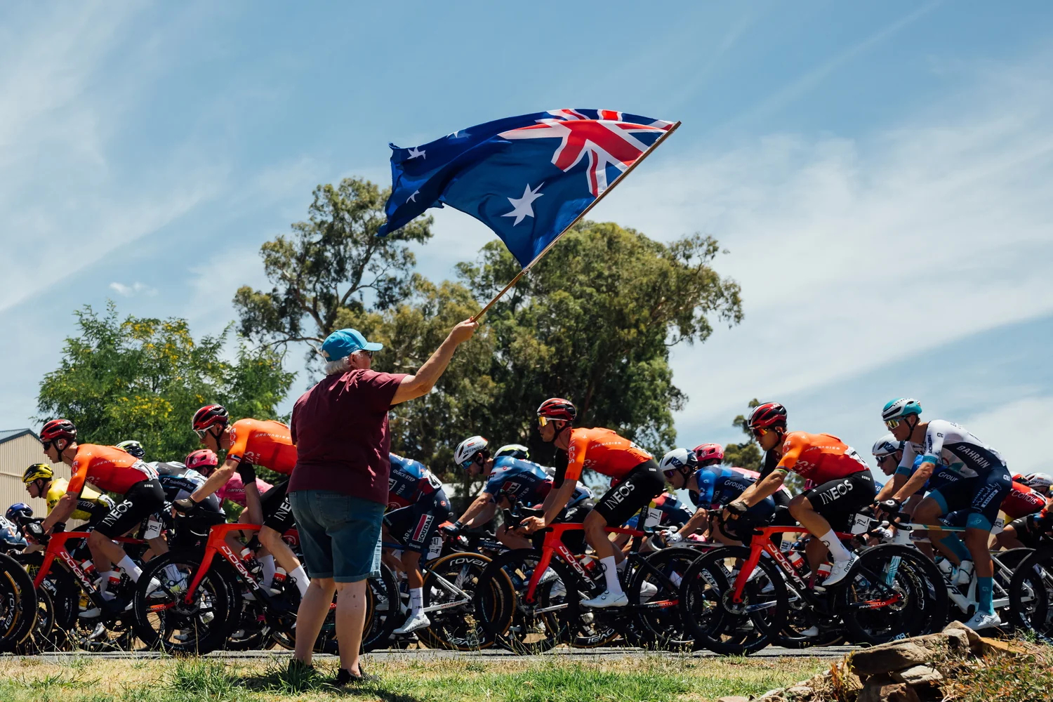 Santos Tour Down Under 2026 – peloton lors d’une étape en Australie