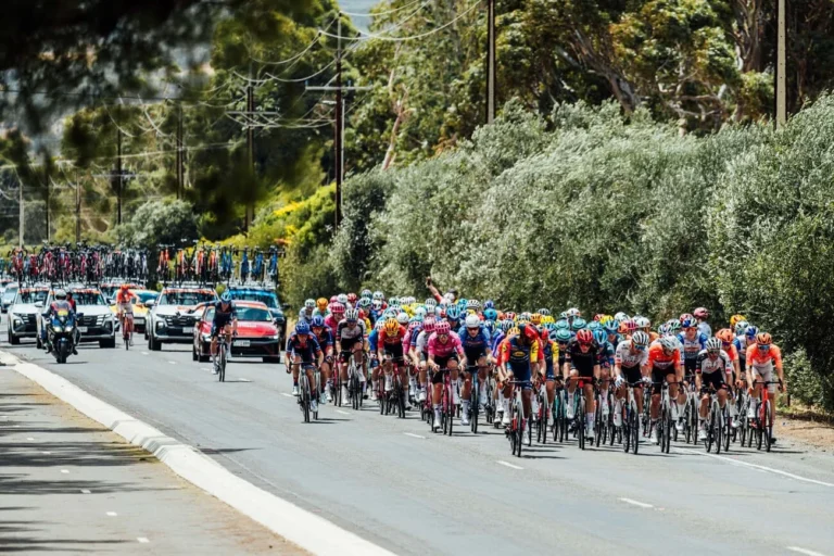 Peloton du Tour Down Under 2026 lors de la 4e étape, avant les chutes de Narváez et Laengen