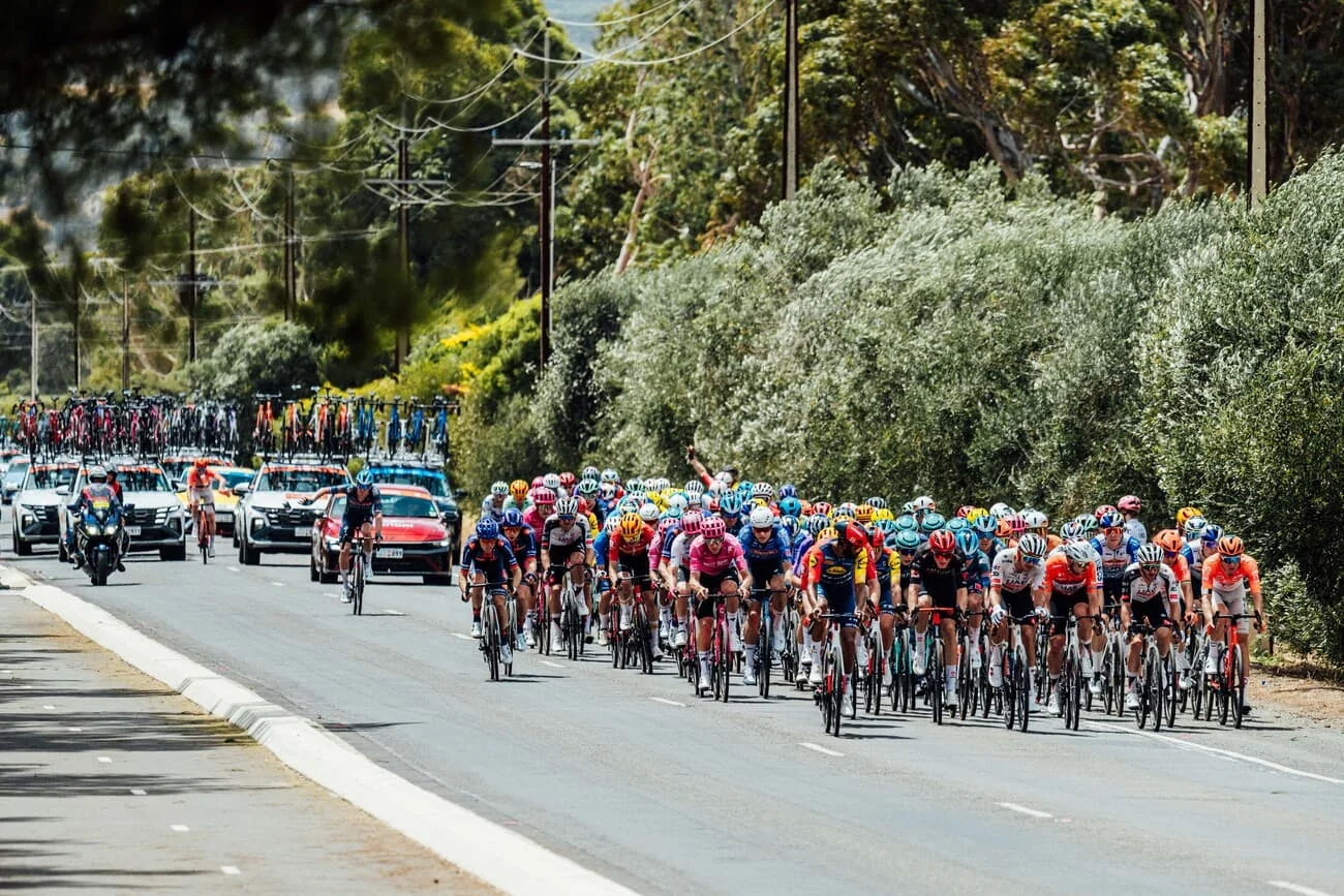 Peloton du Tour Down Under 2026 lors de la 4e étape, avant les chutes de Narváez et Laengen