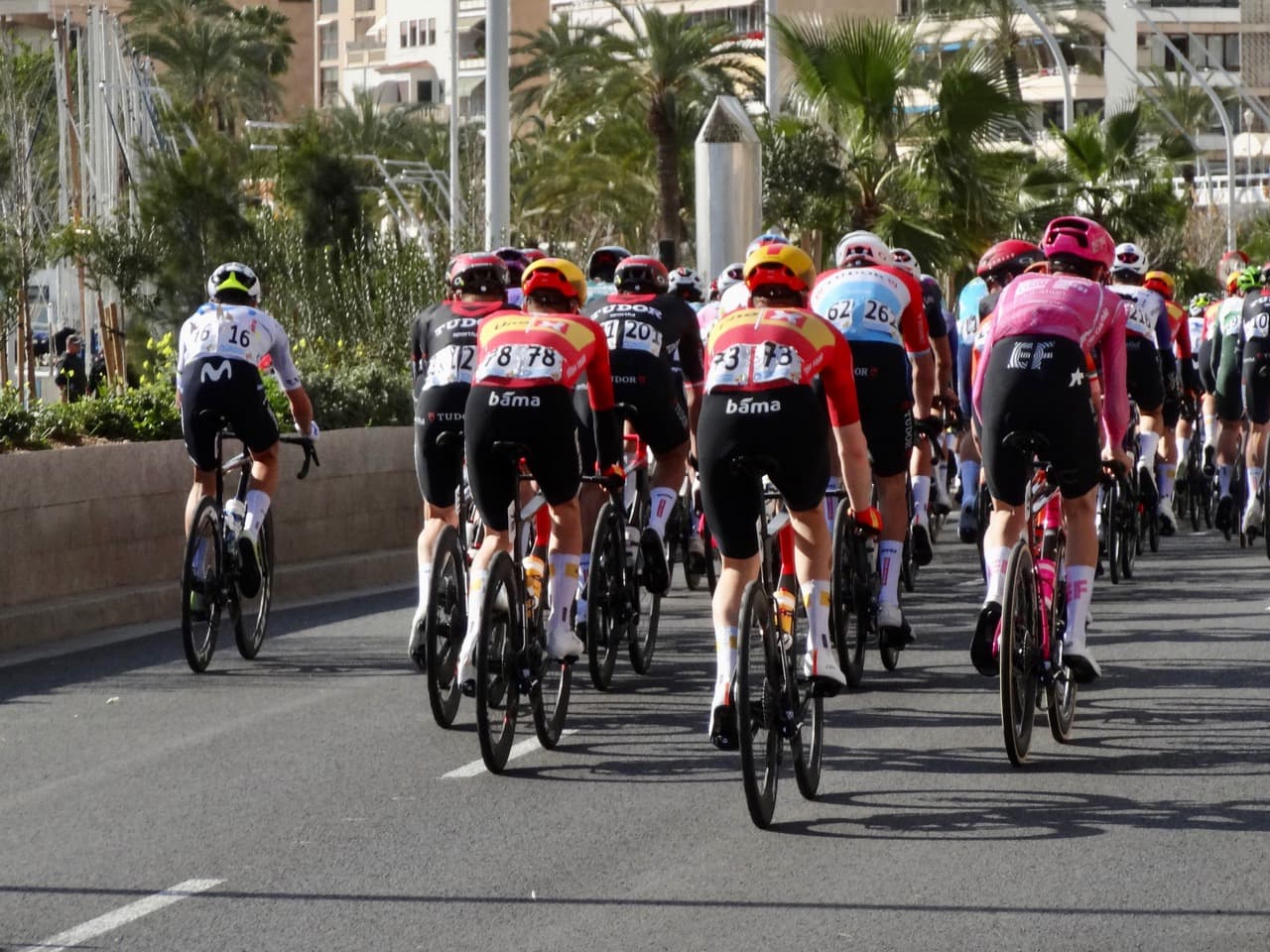 Peloton en course lors d’une épreuve du calendrier cyclisme semaine