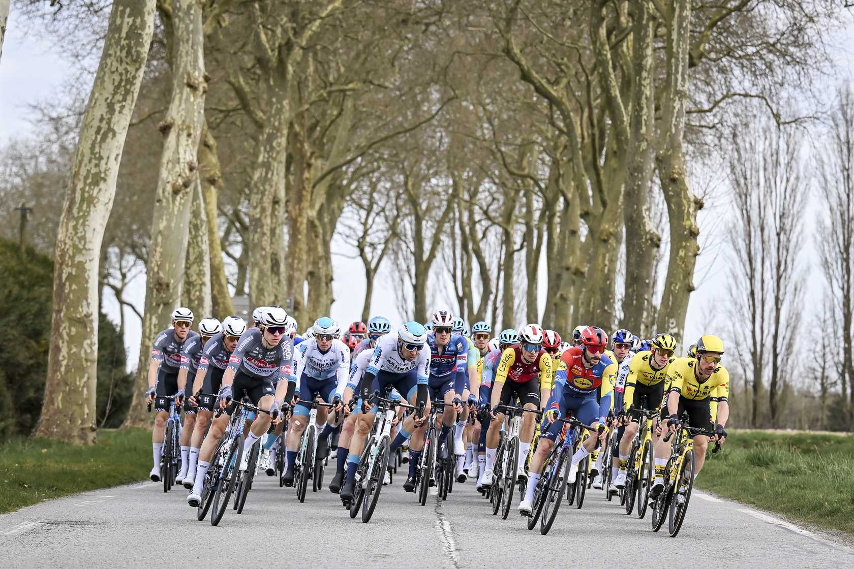 Peloton en course lors d’une étape de Paris-Nice