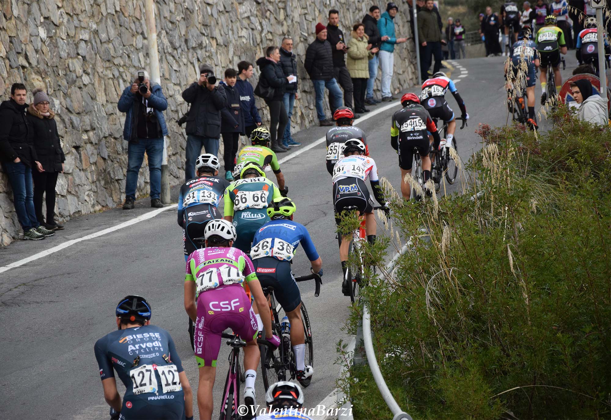 Peloton sur les routes du Trofeo Laigueglia lors de la classique italienne