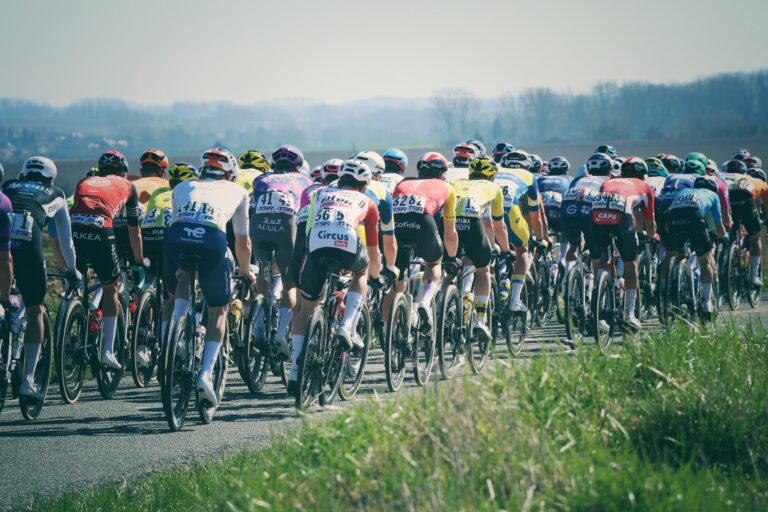 peloton de dos lors du Grand Prix de Denain