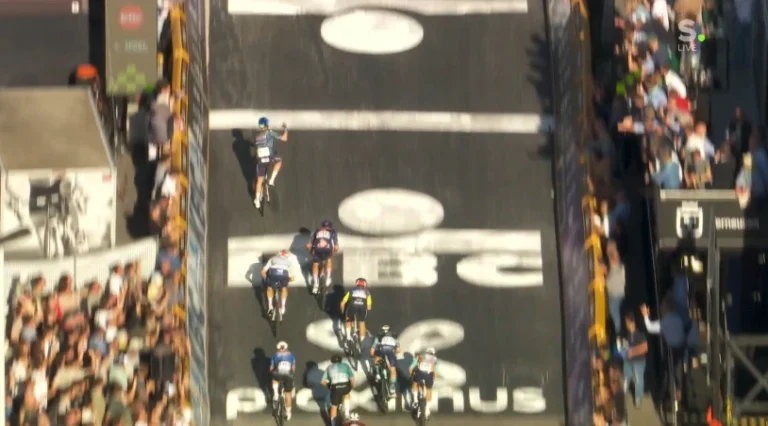 Tim Merlier victoire Scheldeprijs