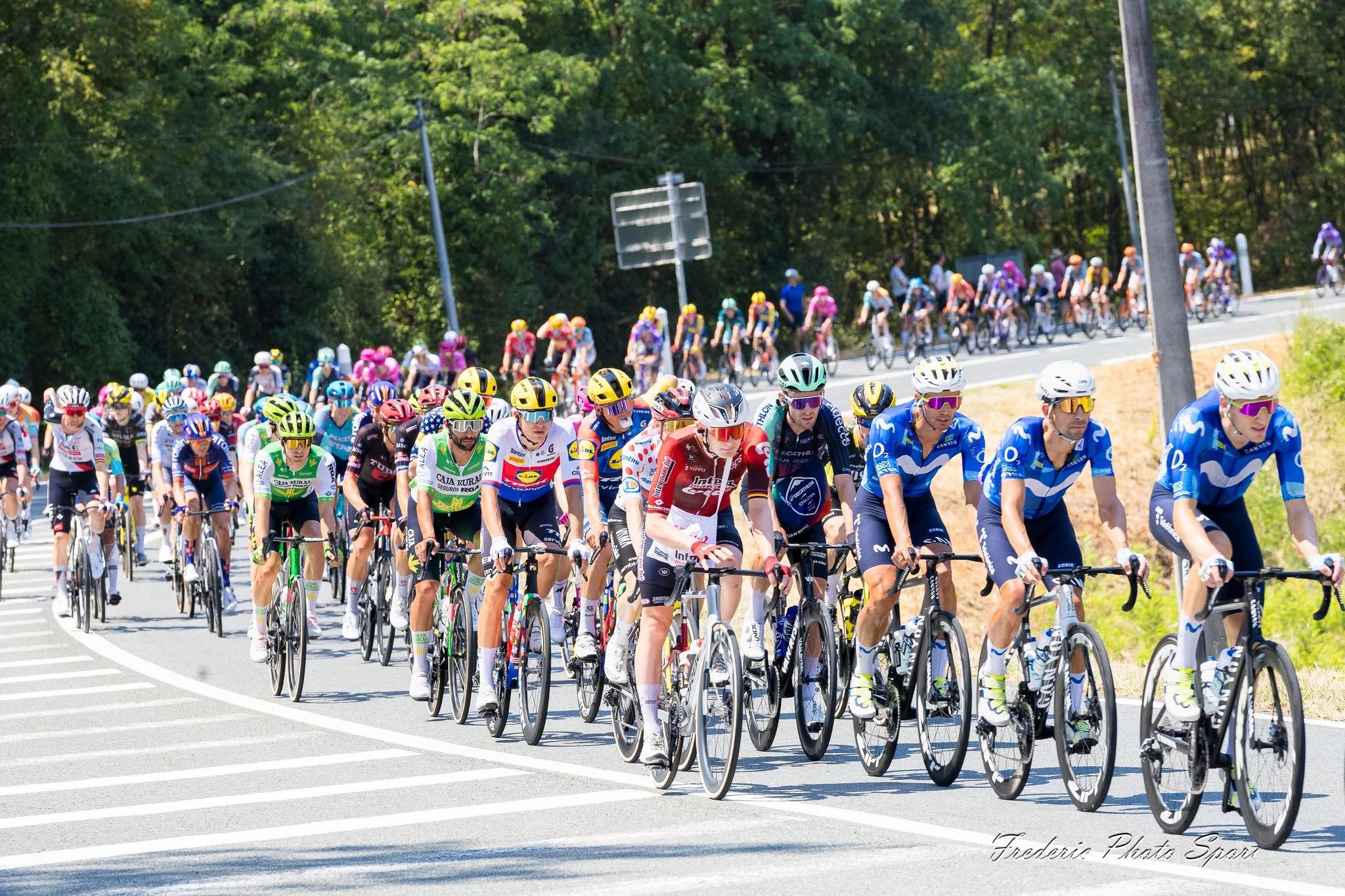 Tour de France 2026 : les déceptions de la première semaine